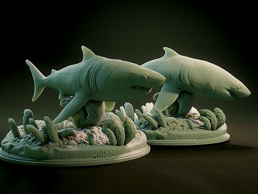 Shark (2 Variants Available) - Brayan Nafarrate