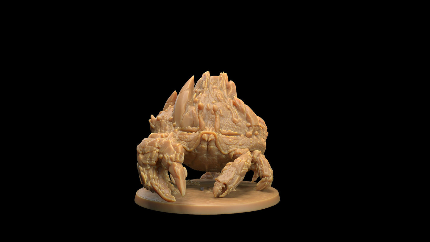 Crab (3 Variants Available) - Dragon Trapper's Lodge