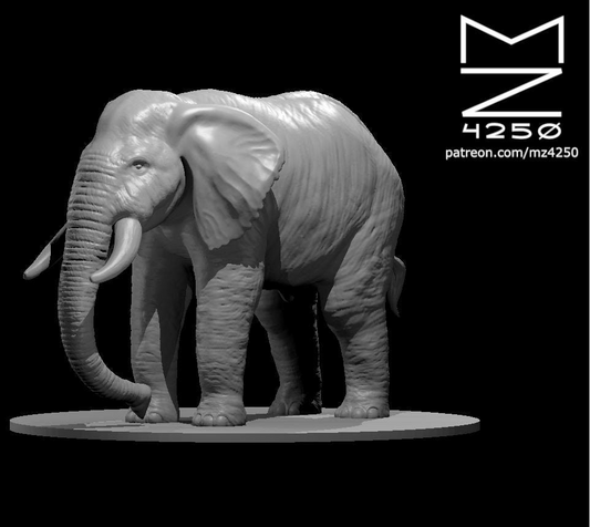 Elephants (2 Variants Available) - MZ4250