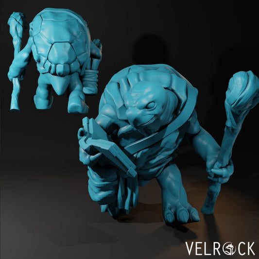 Male Tortle Wizard - Velrock