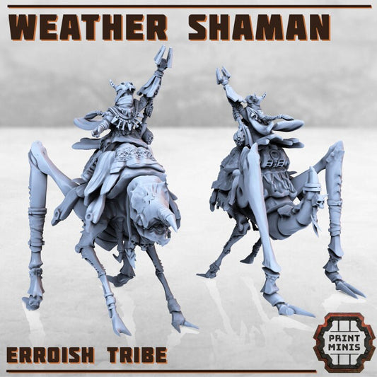 Weather Shaman - Erroish Tribe - Print Minis