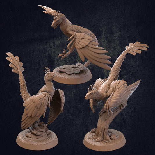 Flying Raptors (3 Variants Available) - Dragon Trapper's Lodge