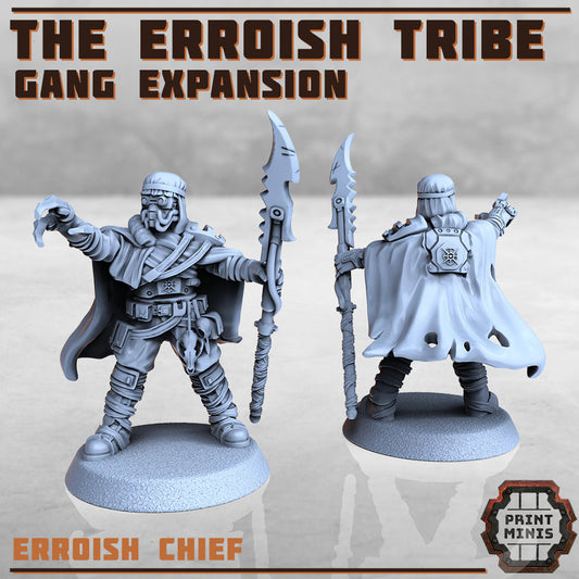 Erroish Leaders (4 Variants Available) - Print Minis