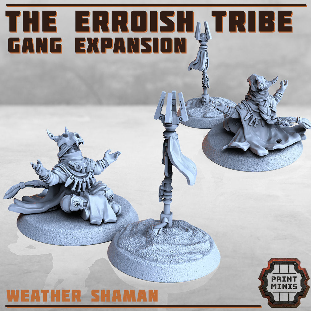 Erroish Leaders (4 Variants Available) - Print Minis