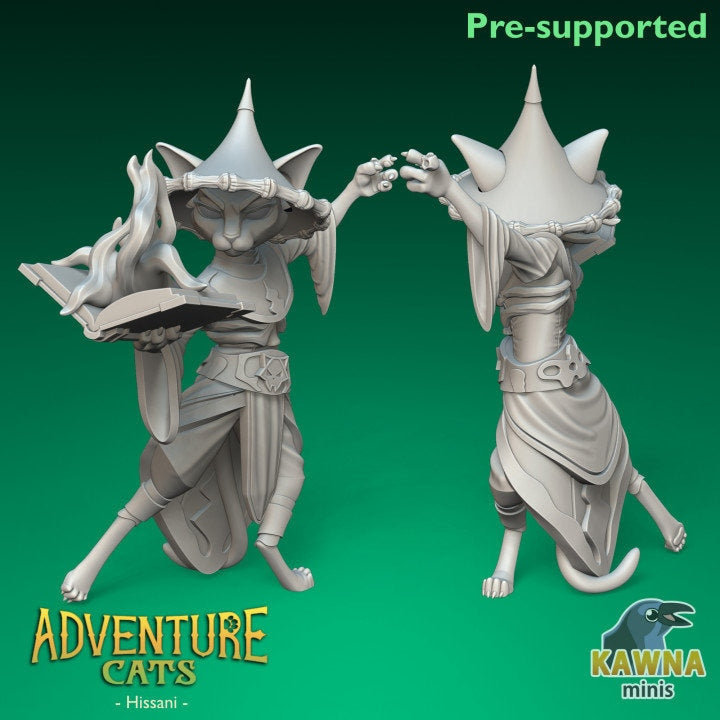 Hissani Warlock (2 Variants Available) - Kawna Minis