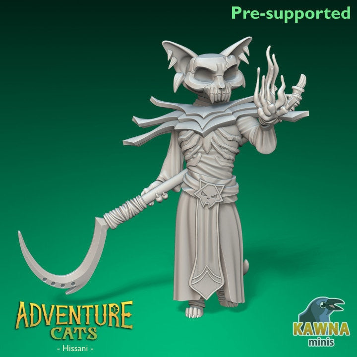 Hissani Warlock (2 Variants Available) - Kawna Minis