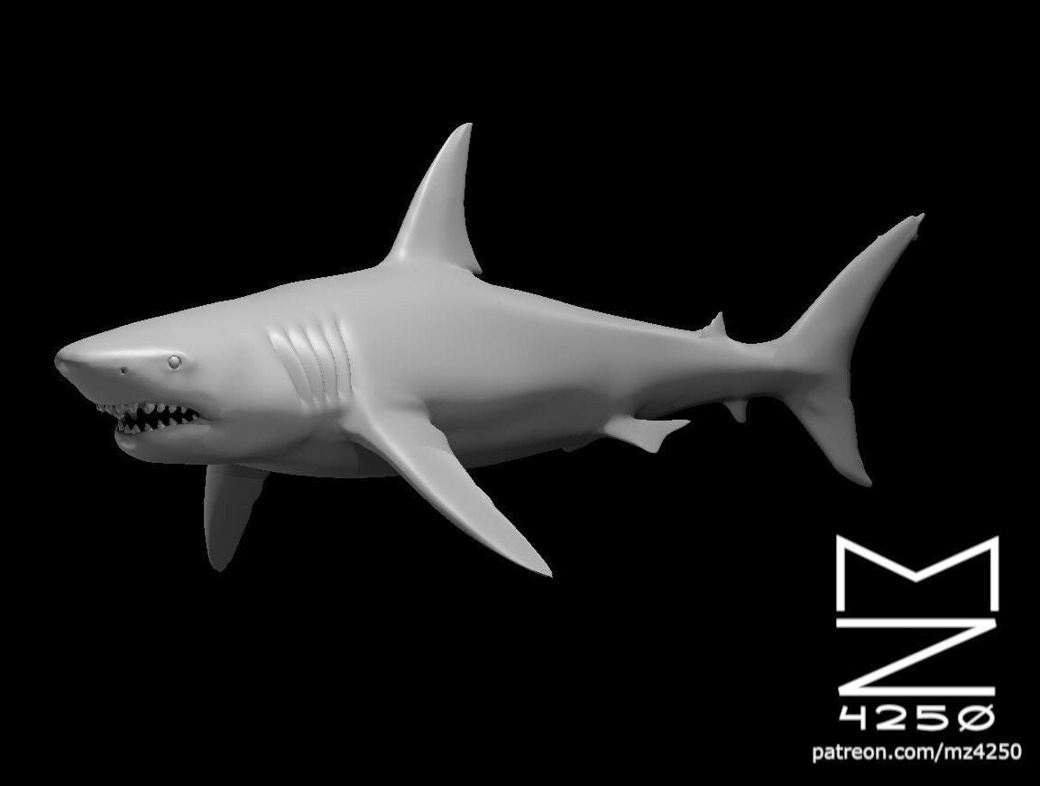 Sharks (3 Variants Available) - MZ4250