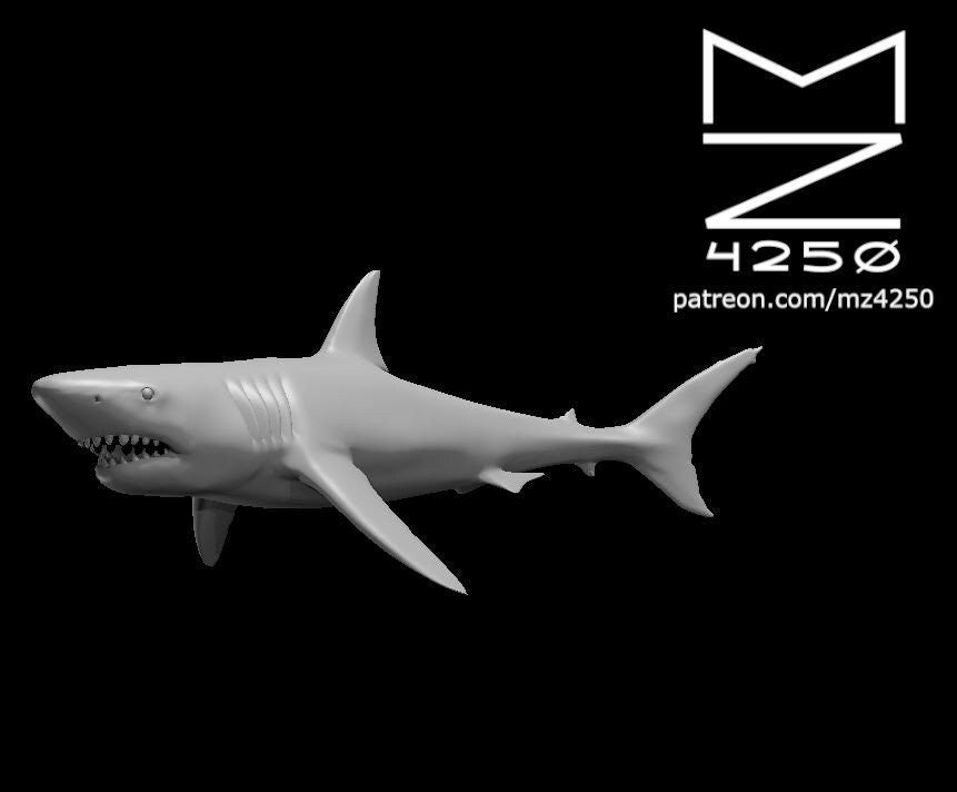 Sharks (3 Variants Available) - MZ4250