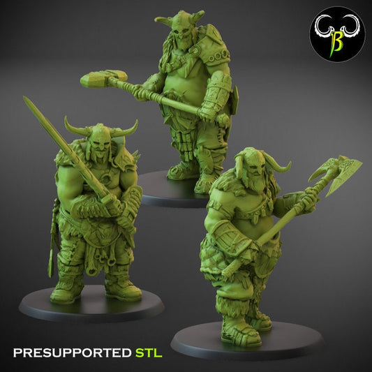 Valajar Chosen, Set A (3 Variants Available) - Clay Beast Creations