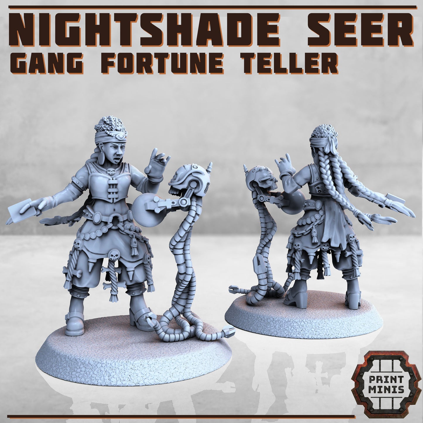 Nightshade Seer and Skull Companion - Print Minis