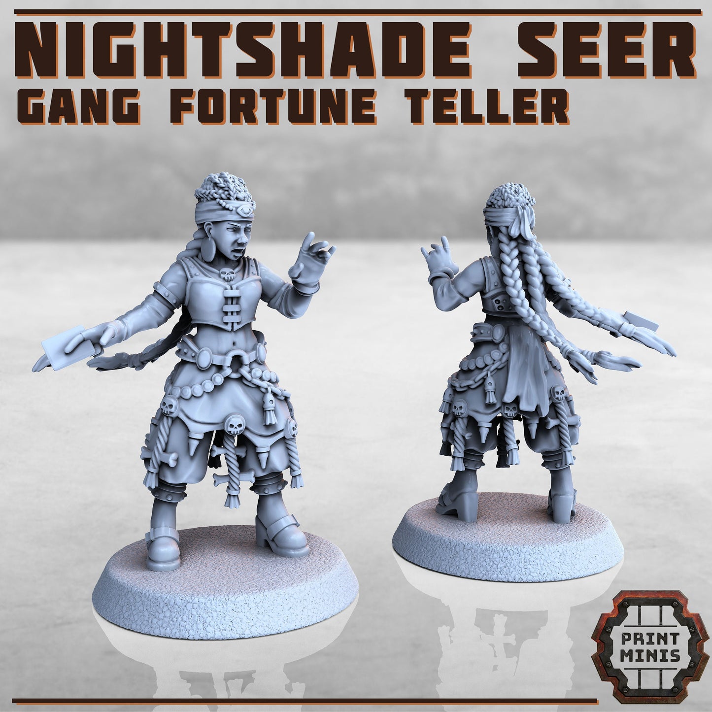 Nightshade Seer and Skull Companion - Print Minis