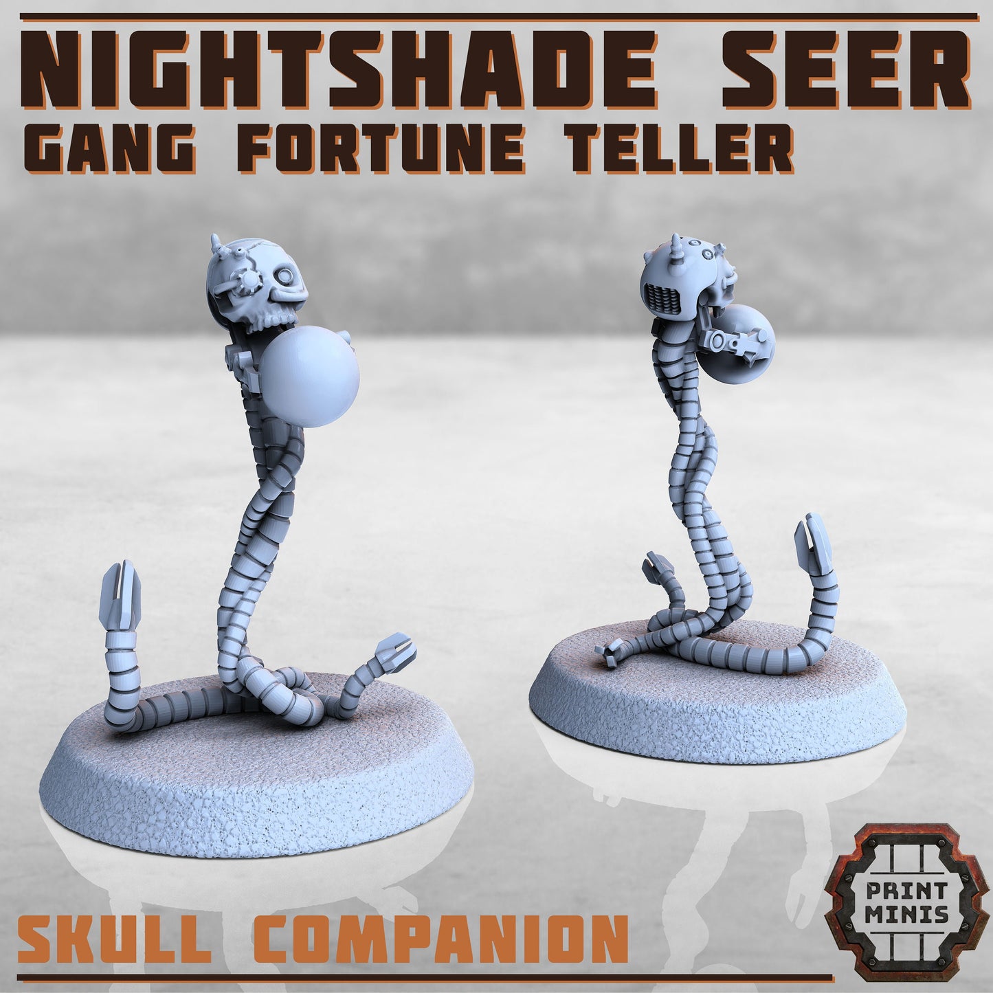 Nightshade Seer and Skull Companion - Print Minis