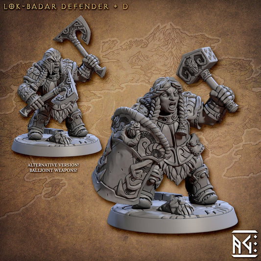 Lok-Badar Defender D (2 Variants Available) - Artisan Guild