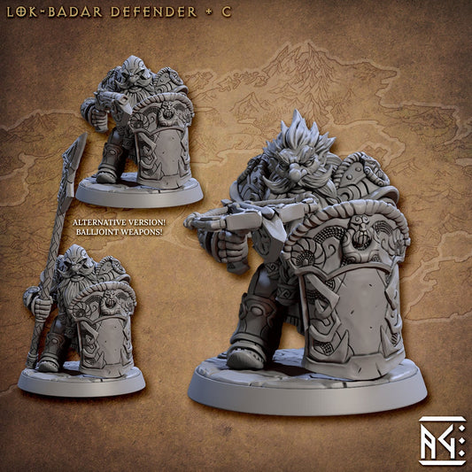 Lok-Badar Defender C (3 Variants Available) - Artisan Guild