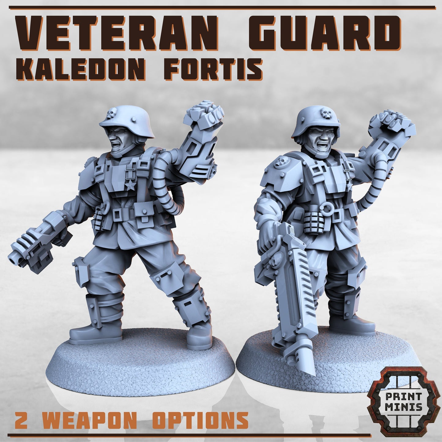 Kaledon Fortis - Veteran Guard (2 Variants Available) - Print Minis