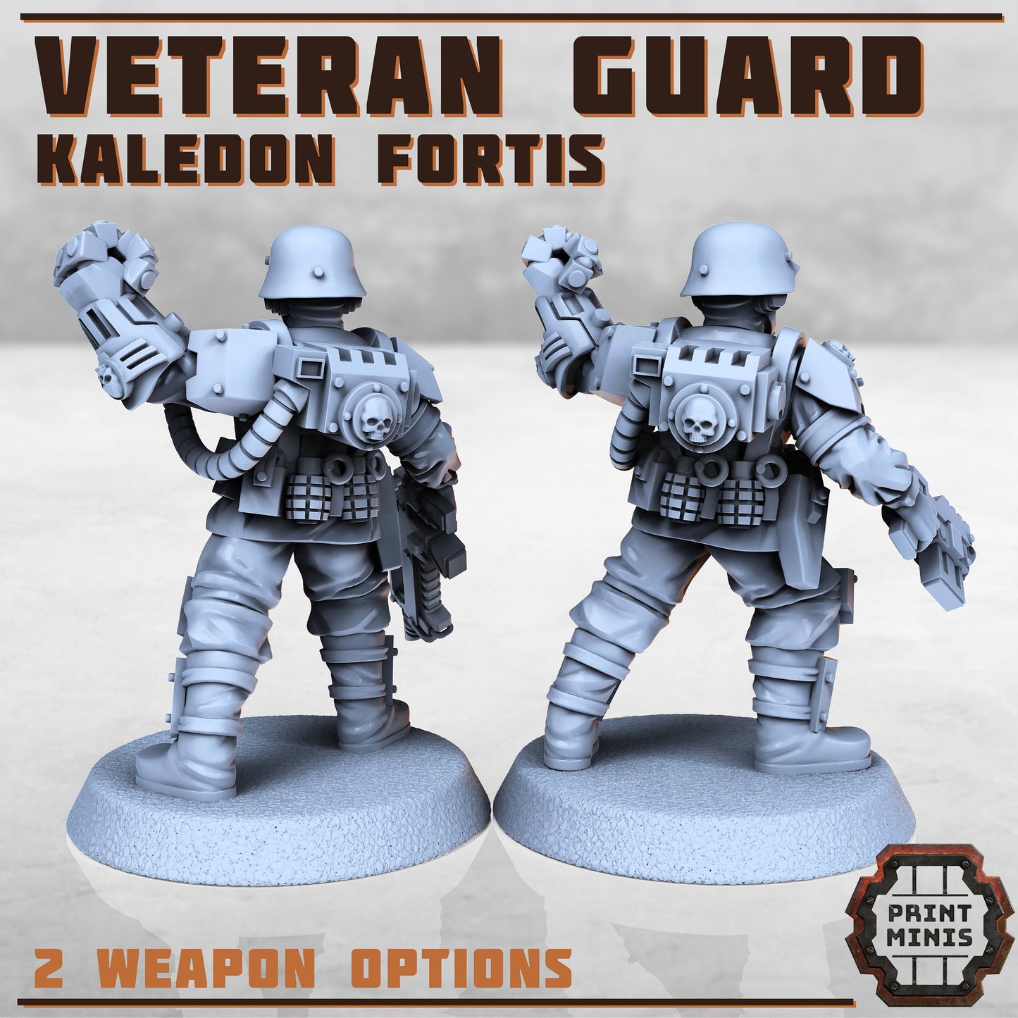 Kaledon Fortis - Veteran Guard (2 Variants Available) - Print Minis