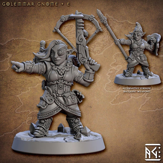 Golemmar Gnome E (2 Variants Available) - Artisan Guild