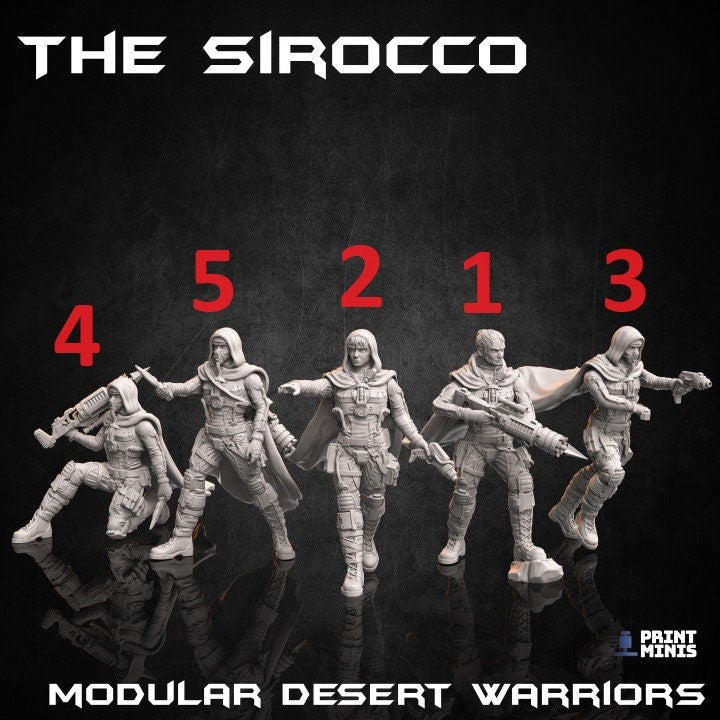 Sirocco Warriors (5 Variants Available) - Print Minis