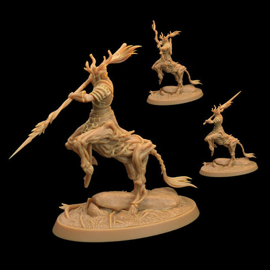 Centaur Chief (3 Variants Available) - Dragon Trapper's Lodge