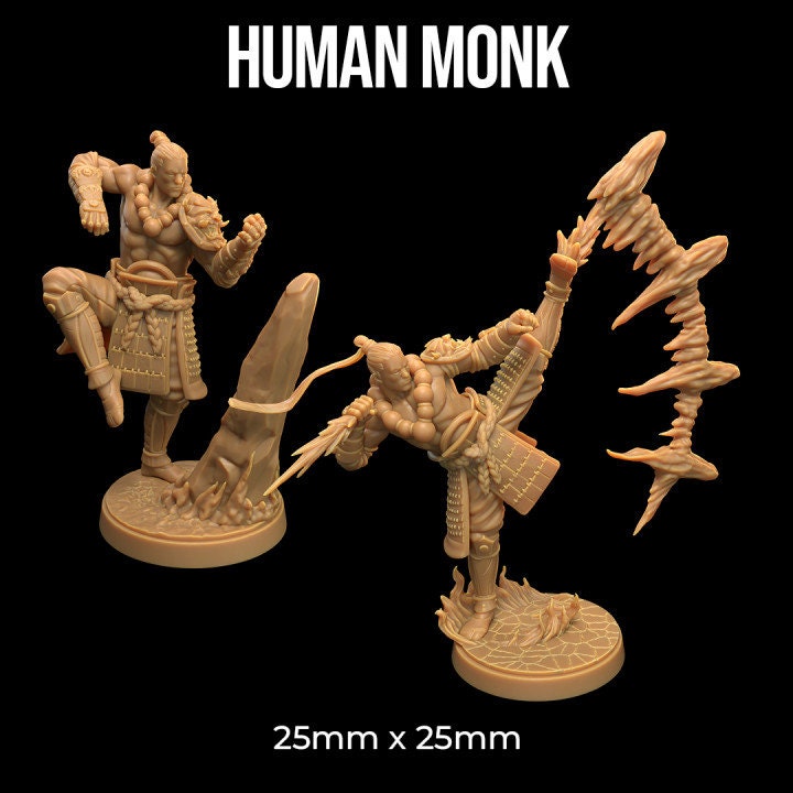 Human Monk (2 Variants Available) - Dragon Trapper's Lodge