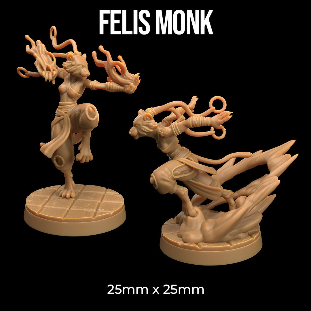 Felis Monk (2 Variants Available) - Dragon Trapper's Lodge