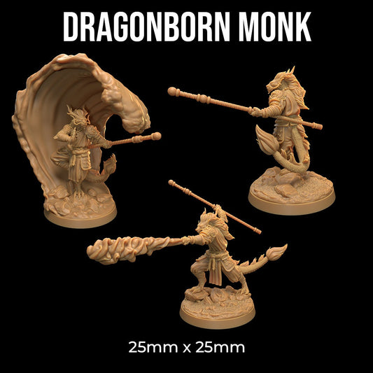 Dragonborn Monk (3 Variants Available) - Dragon Trapper's Lodge