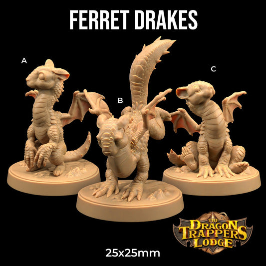 Ferret Drake (3 Variants Available) - Dragon Trapper's Lodge