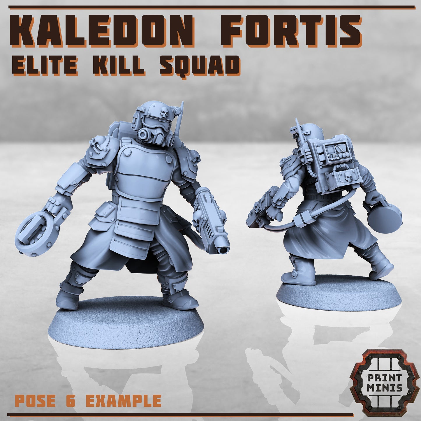 Kaledon Fortis Elites, Squad 2 (5 Variants Available) - Print Minis