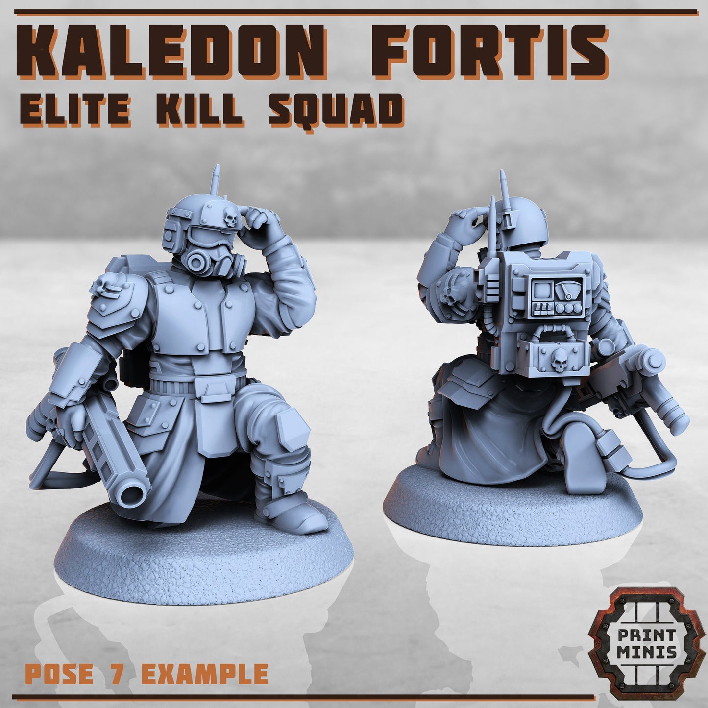 Kaledon Fortis Elites, Squad 2 (5 Variants Available) - Print Minis