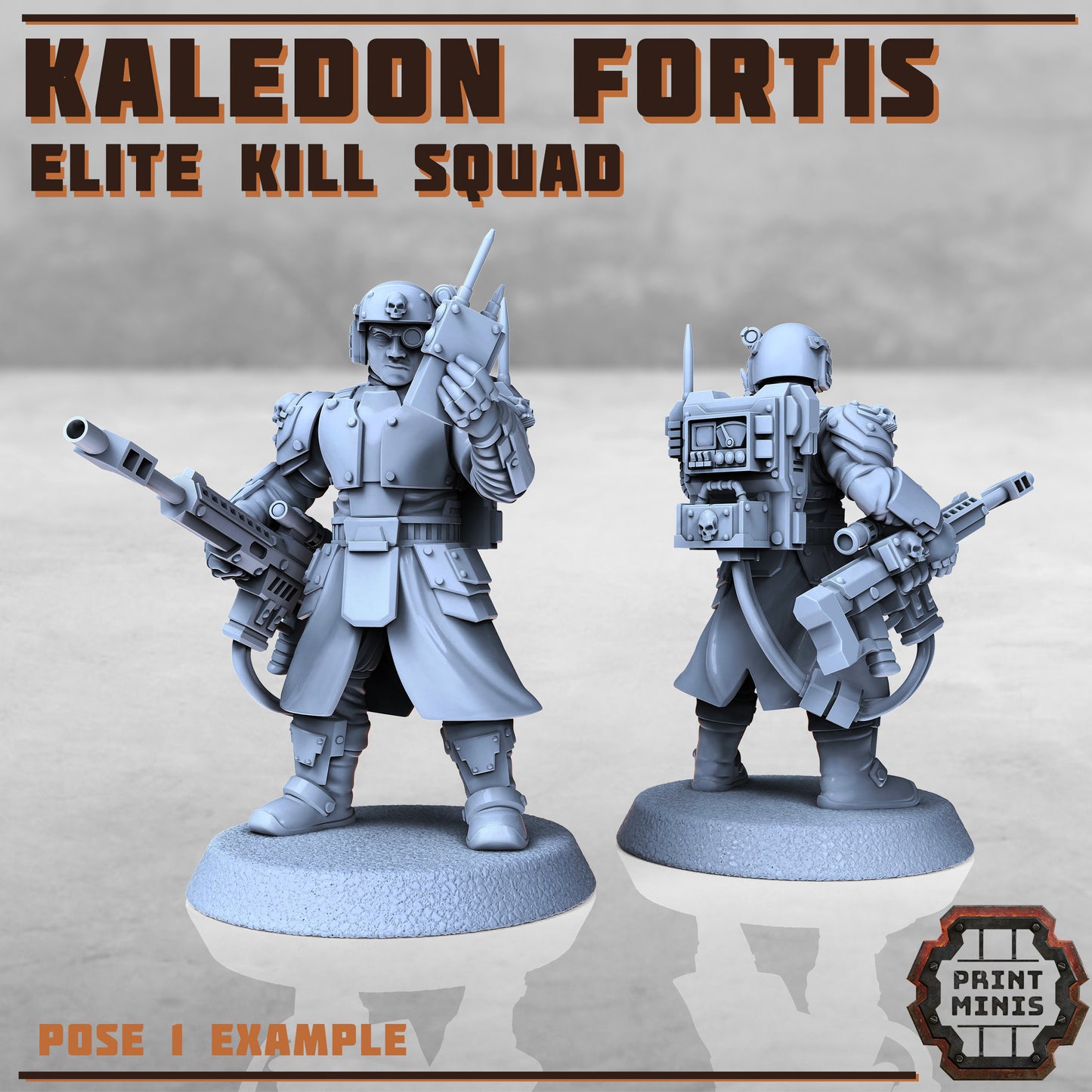 Kaledon Fortis Elites, Squad 1 (5 Variants Available) - Print Minis