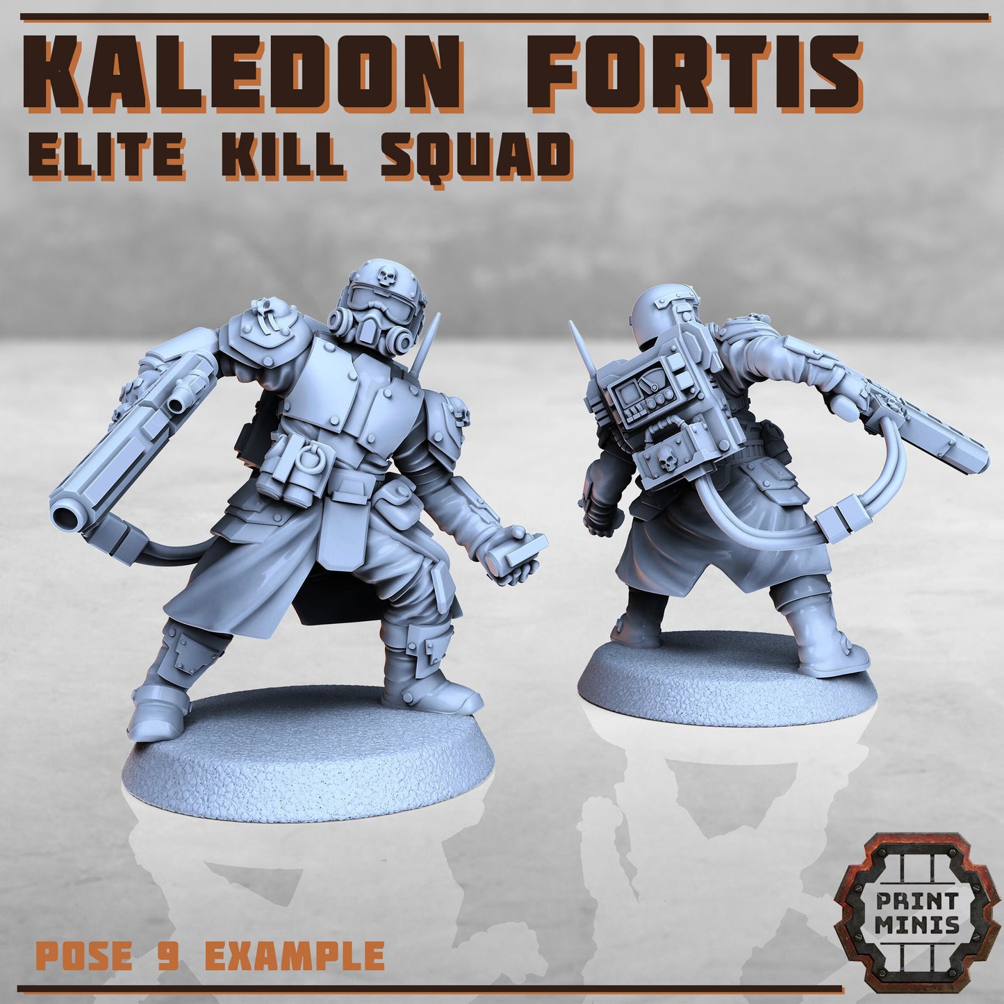 Kaledon Fortis Elites, Squad 2 (5 Variants Available) - Print Minis