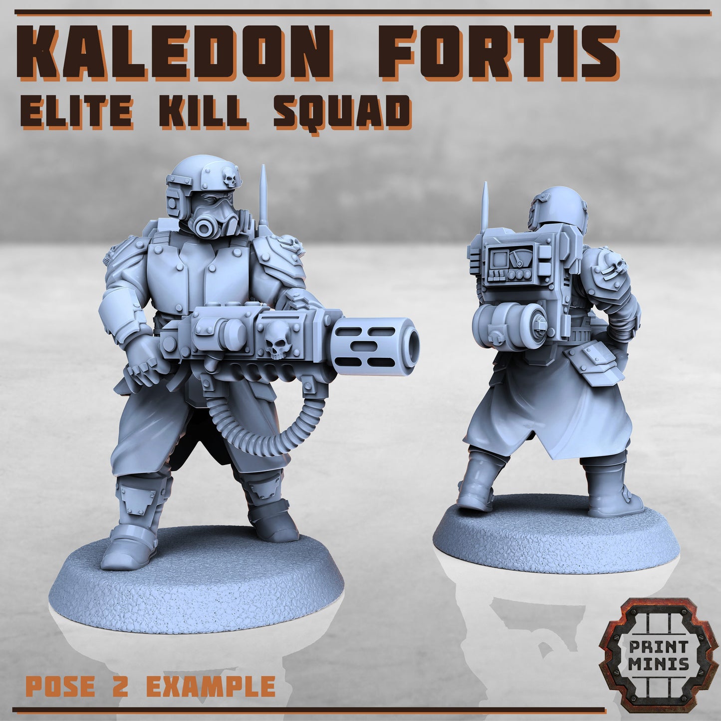 Kaledon Fortis Elites, Squad 1 (5 Variants Available) - Print Minis