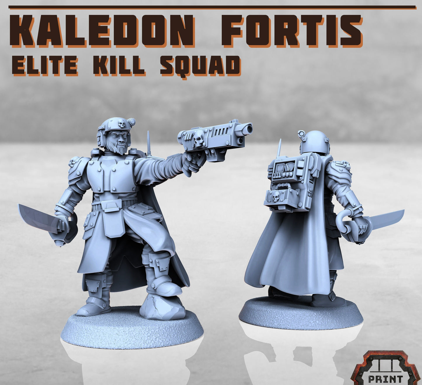 Kaledon Fortis Elites, Squad 2 (5 Variants Available) - Print Minis