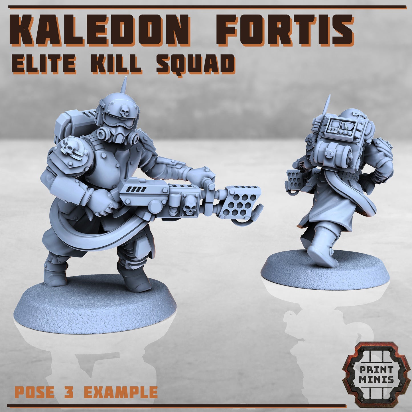 Kaledon Fortis Elites, Squad 1 (5 Variants Available) - Print Minis