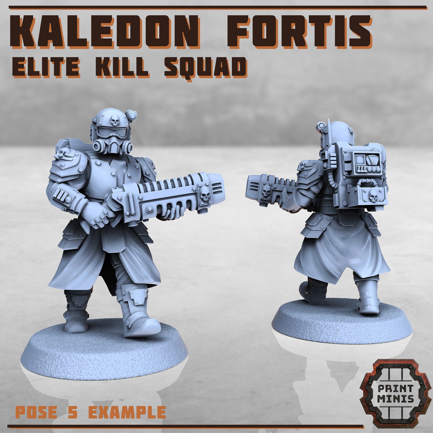 Kaledon Fortis Elites, Squad 1 (5 Variants Available) - Print Minis