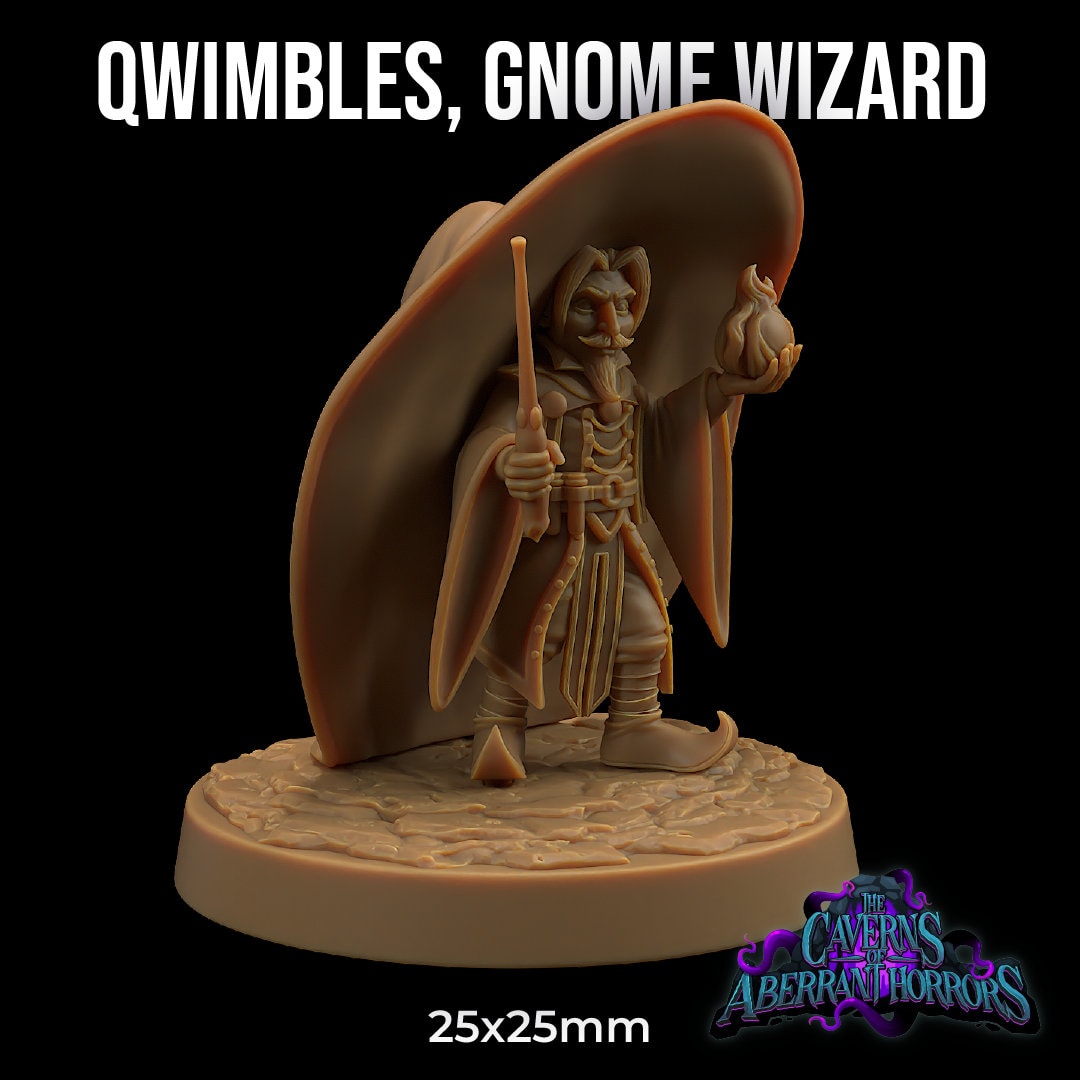 Qwimbles, Gnome Wizard - Dragon Trapper's Lodge