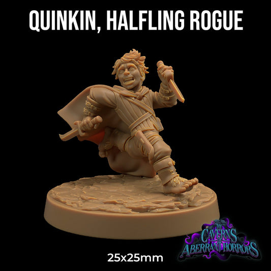 Quinkin, Halfling Rogue - Dragon Trapper's Lodge